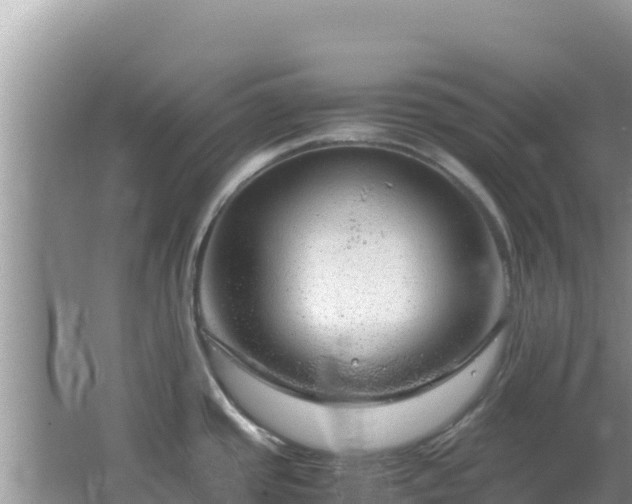 X0000064731437200602131239