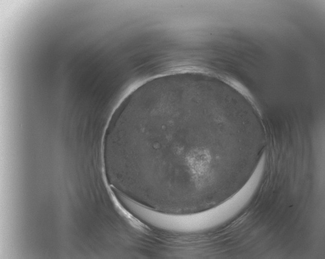 X0000064731439200602131239