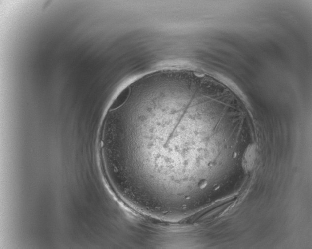 X0000064731440200602131239