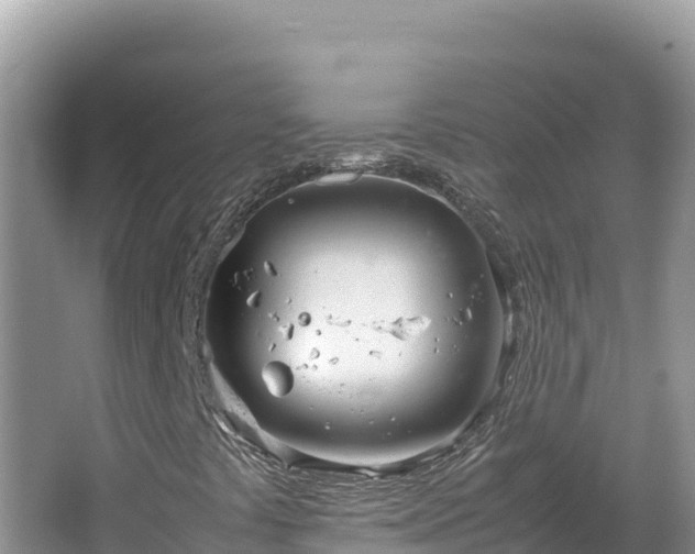 X0000064731441200602131238