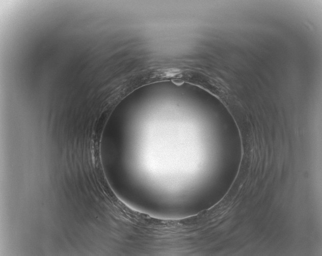 X0000064731442200602131238