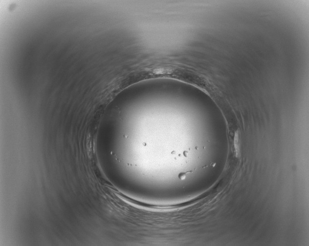 X0000064731443200602131238