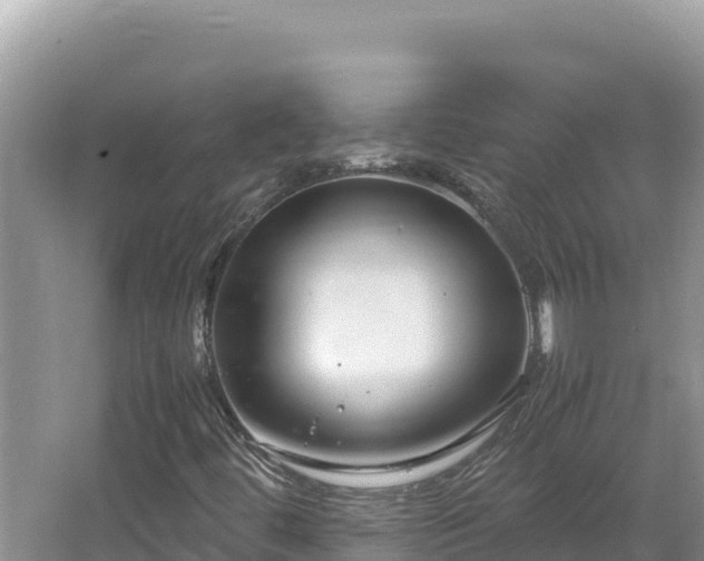 X0000064731444200602131238