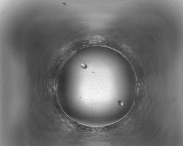 X0000064731445200602131238