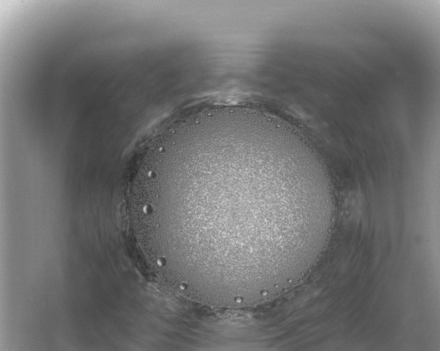 X0000064731446200602131238