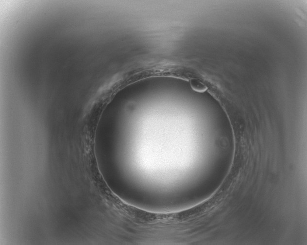 X0000064731447200602131238