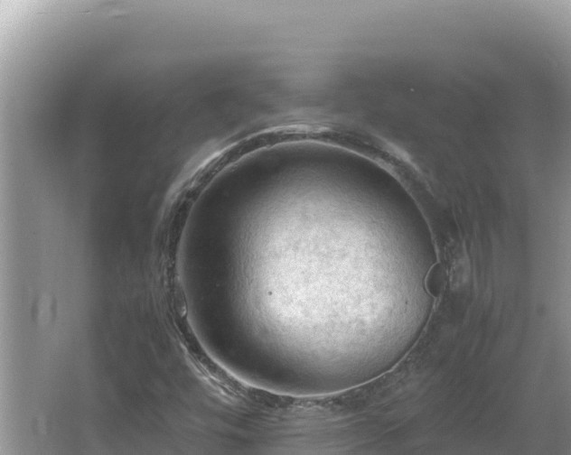 X0000064731448200602131238