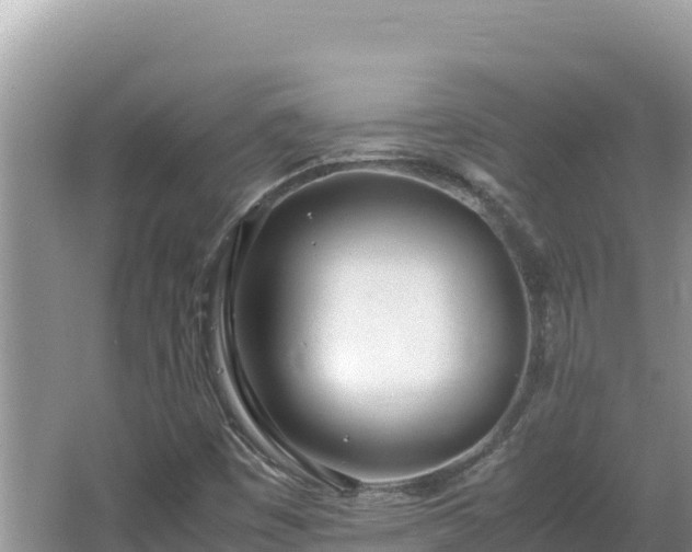 X0000064731449200602131238