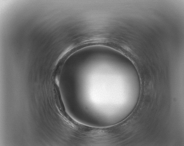 X0000064731450200602131238