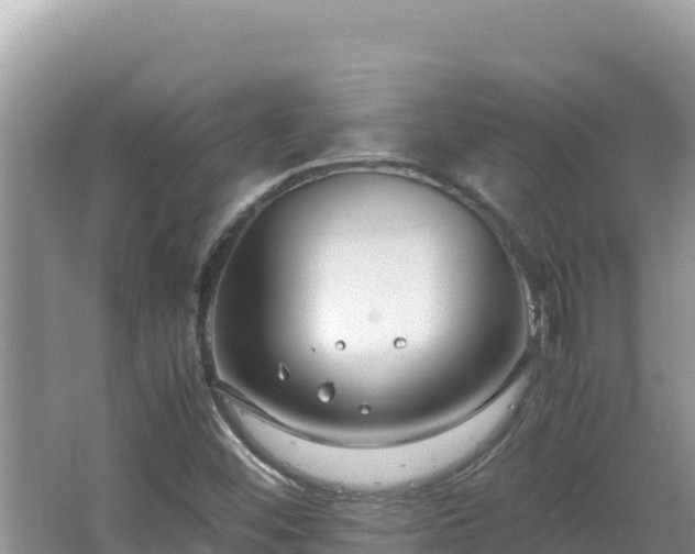 X0000064731452200602131238