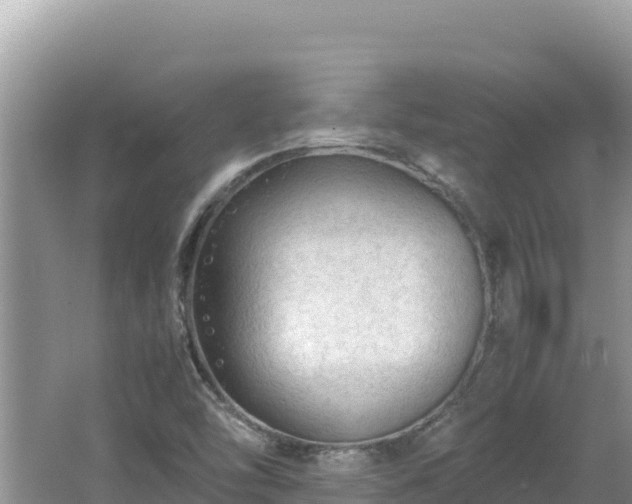 X0000064731454200602131238