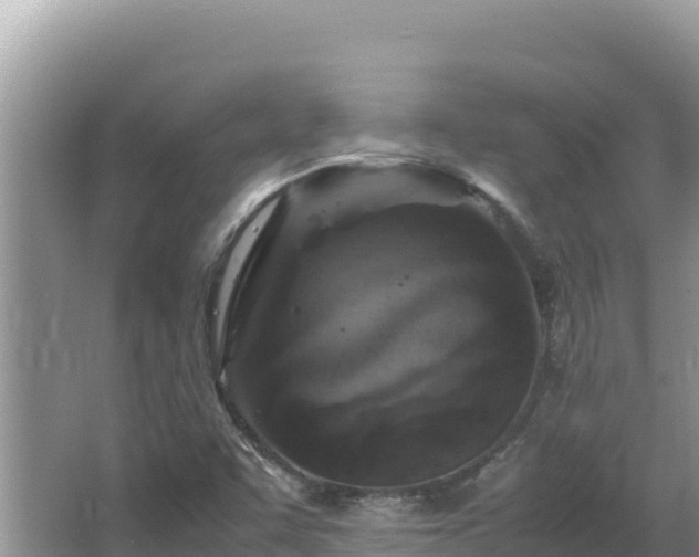 X0000064731455200602131238