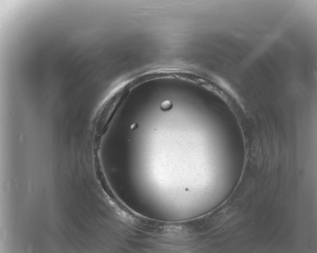 X0000064731456200602131238