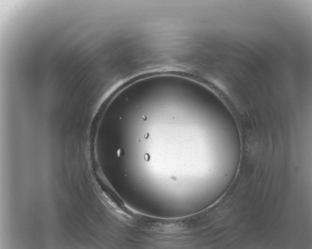 X0000064731460200602131238