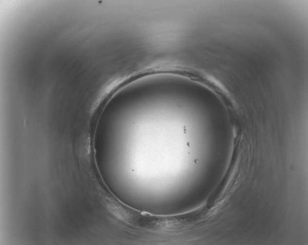 X0000064731461200602131238