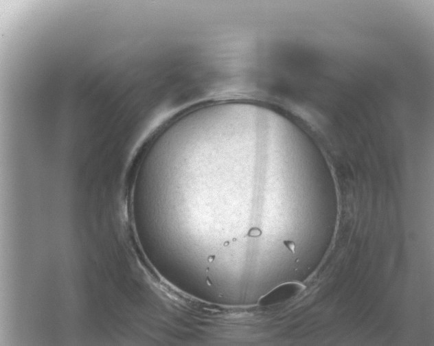 X0000064731462200602131237