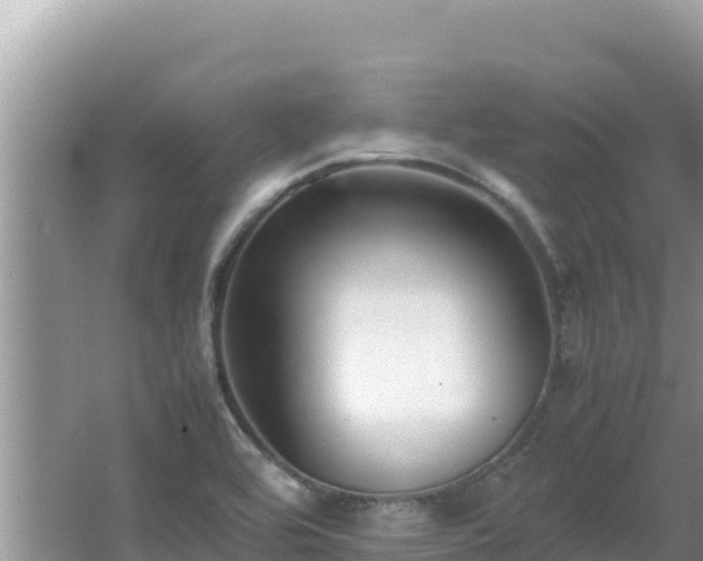 X0000064731464200602131237