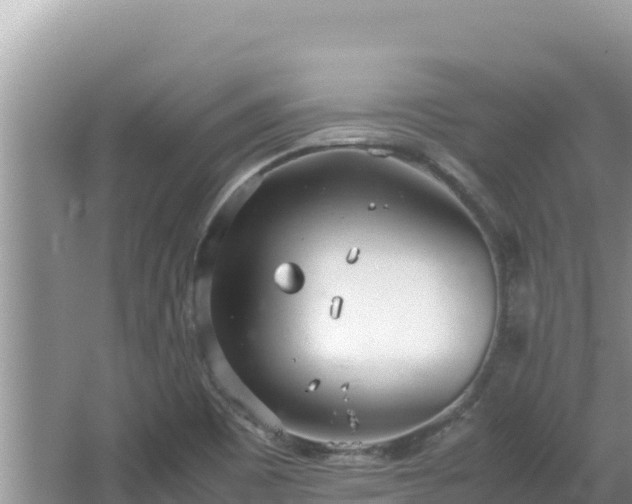 X0000064731465200602131237