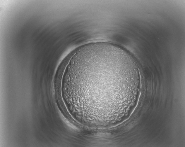 X0000064731466200602131237