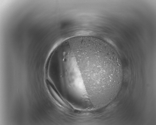 X0000064731467200602131237