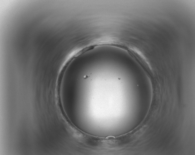 X0000064731469200602131237