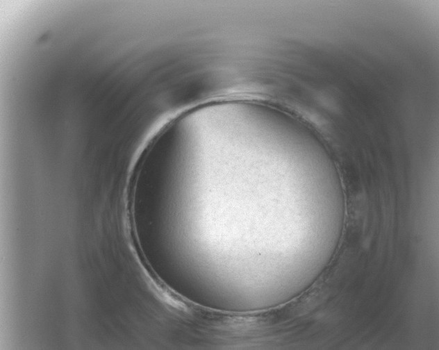 X0000064731470200602131237