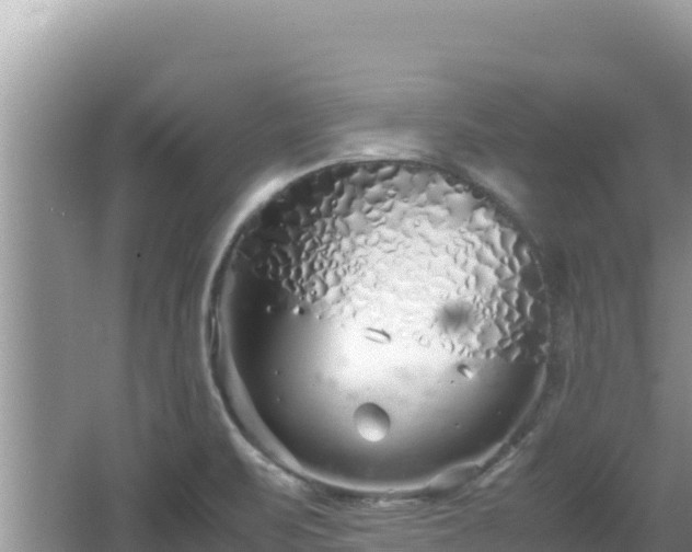 X0000064731471200602131237