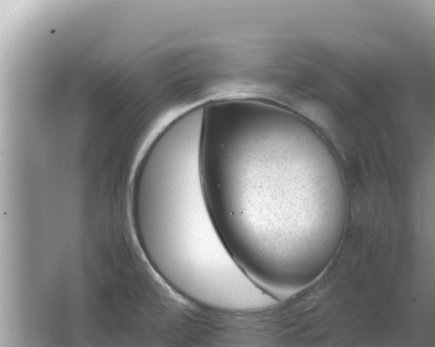 X0000064731472200602131237