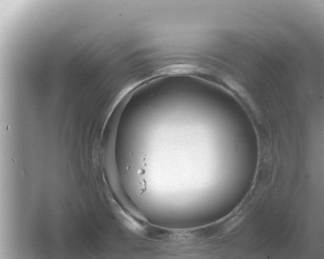 X0000064731473200602131237