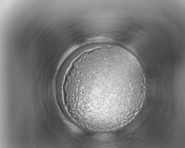 X0000064731474200602131237