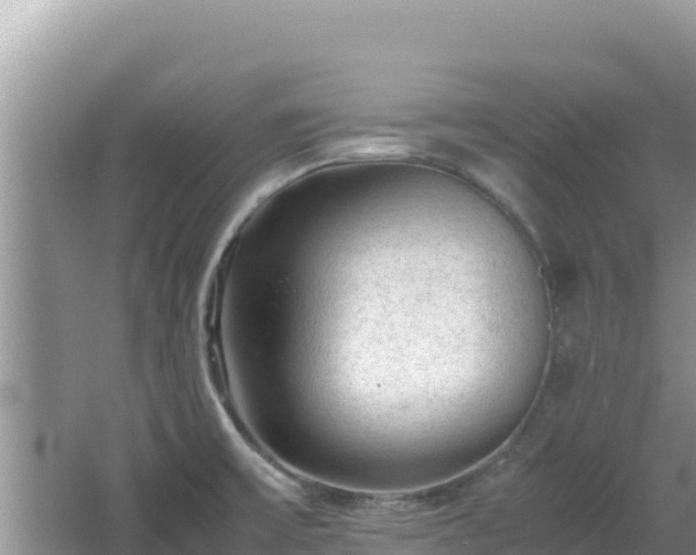 X0000064731475200602131237