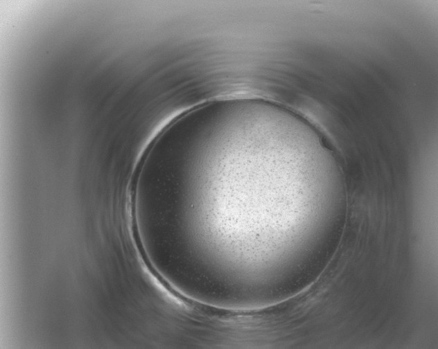 X0000064731476200602131237