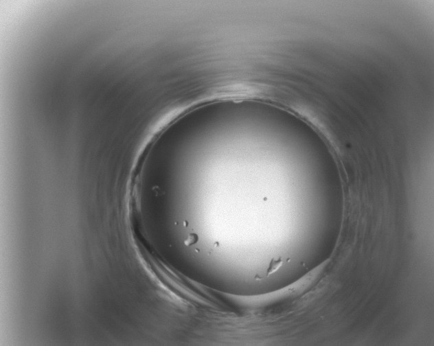 X0000064731477200602131237