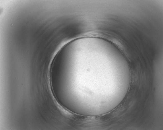 X0000064731478200602131237