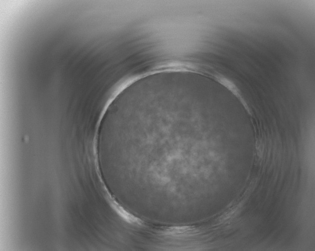 X0000064731482200602131237