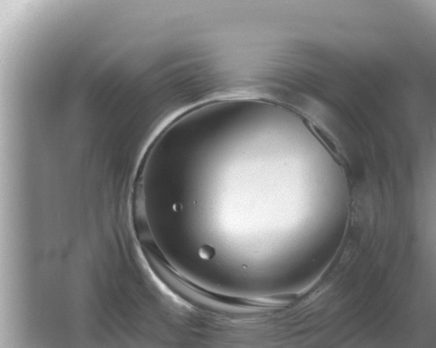 X0000064731484200602131237