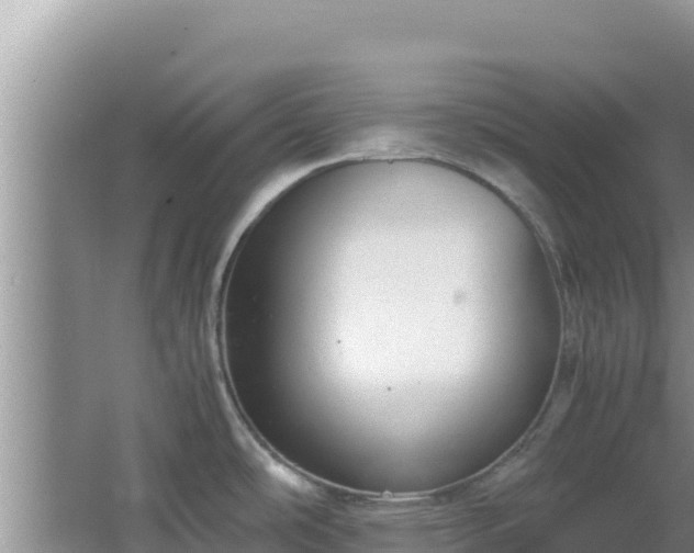 X0000064731486200602131237