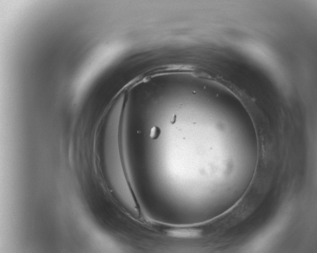 X0000064731487200602131237