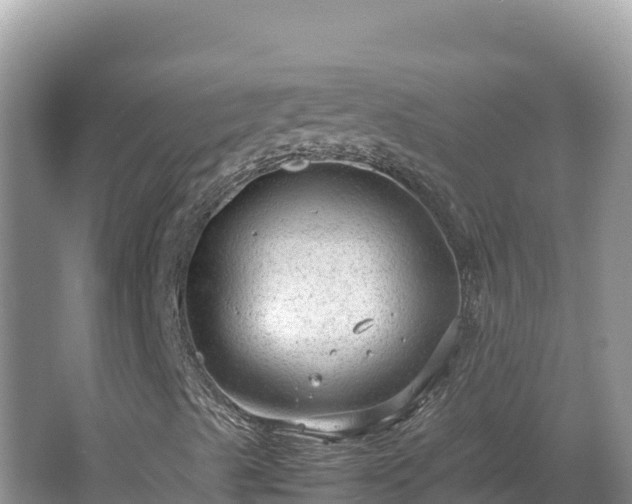 X0000064731489200602131236