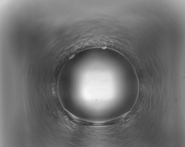 X0000064731490200602131236