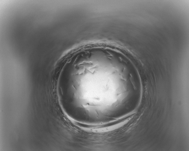 X0000064731494200602131236