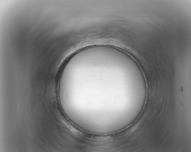 X0000064731498200602131236