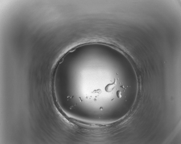 X0000064731500200602131236