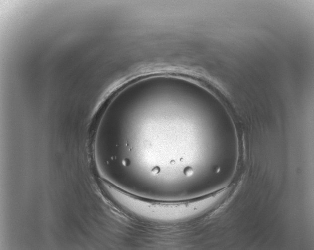 X0000064731501200602131236