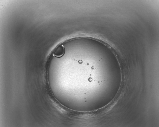 X0000064731502200602131236