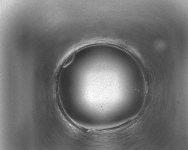 X0000064731504200602131236