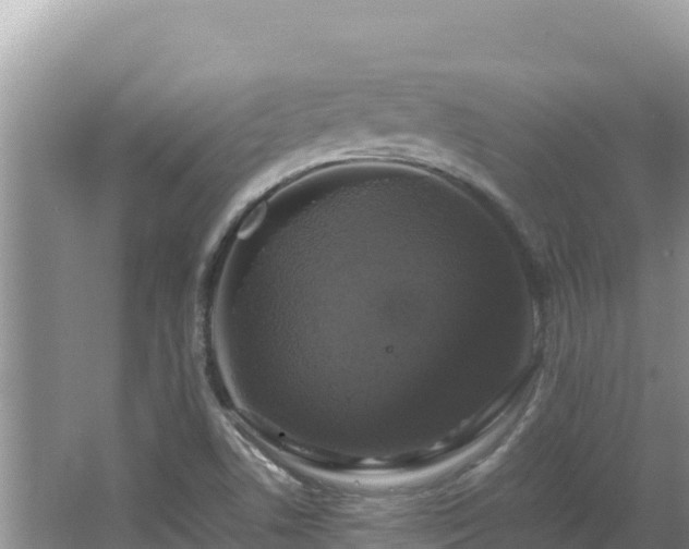 X0000064731506200602131237