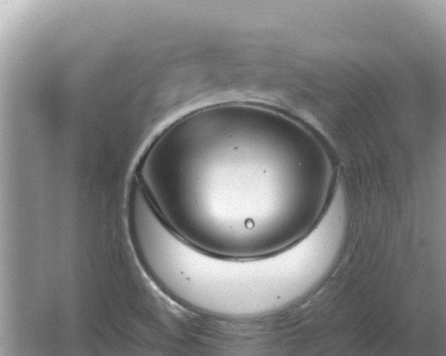 X0000064731508200602131237