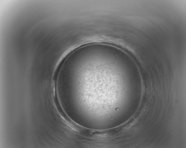 X0000064731509200602131237