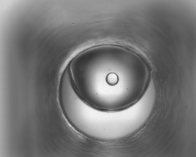 X0000064731512200602131237